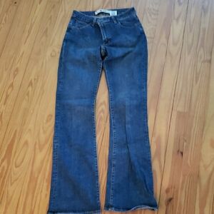GAP Blue Flare Wide Leg Jeans